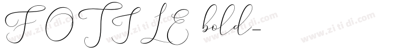 FOTILE3 bold字体转换